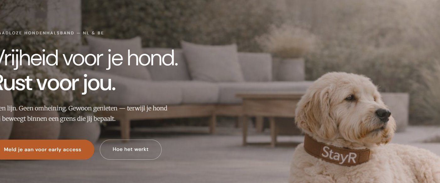 Stayr.shop — smart dog safety technology
